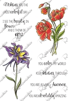 3495-16 Color my world florals