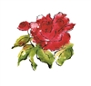Blooming Rose    940