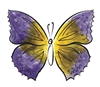 Watercolor Butterfly #8 948